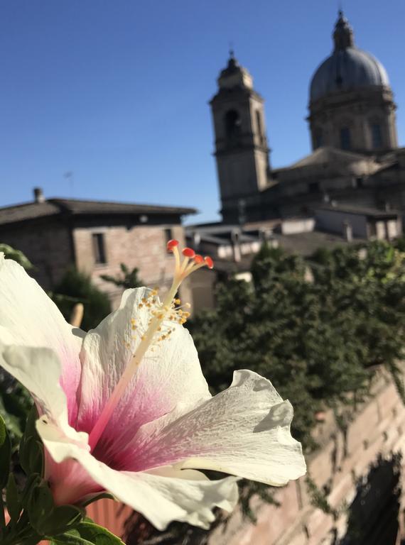 Camere Il Cantico Assisi Exteriér fotografie
